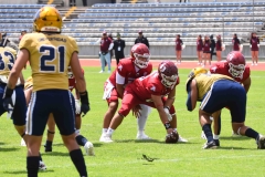 pumas-cu-aguilas-blancas-2025-onefa-mayor-36