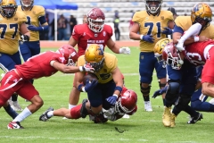 pumas-cu-aguilas-blancas-2025-onefa-mayor-69