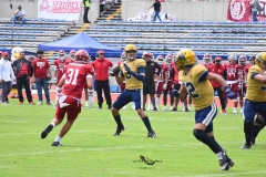 pumas-cu-aguilas-blancas-2025-onefa-mayor-74