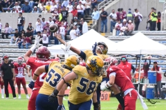 pumas-cu-aguilas-blancas-2025-onefa-mayor-76