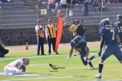 pumas-aguilas-blancas-intermedia-onefa-2023-11