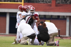 pumas-aguilas-blancas-intermedia-onefa-2023-25