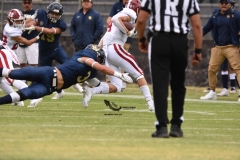 pumas-aguilas-blancas-intermedia-onefa-2023-31