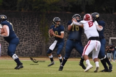 pumas-aguilas-blancas-intermedia-onefa-2023-34