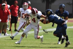 pumas-aguilas-blancas-intermedia-onefa-2023-47