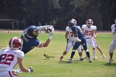 pumas-aguilas-blancas-intermedia-onefa-2023-6