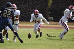 pumas-aguilas-blancas-intermedia-onefa-2023-82