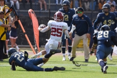 pumas-aguilas-blancas-intermedia-onefa-2023-88