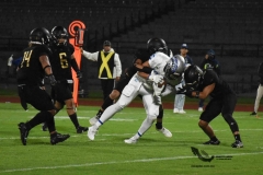 pumas-cu-borregos-ccm-2023-onefa-102