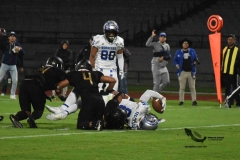 pumas-cu-borregos-ccm-2023-onefa-103