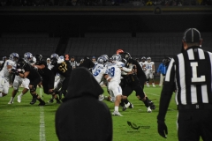 pumas-cu-borregos-ccm-2023-onefa-113