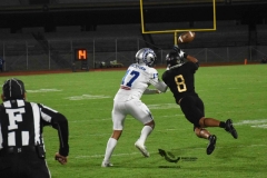 pumas-cu-borregos-ccm-2023-onefa-114