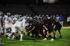 pumas-cu-borregos-ccm-2023-onefa-121