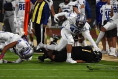 pumas-cu-borregos-ccm-2023-onefa-15
