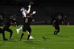 pumas-cu-borregos-ccm-2023-onefa-23