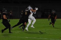 pumas-cu-borregos-ccm-2023-onefa-24