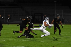 pumas-cu-borregos-ccm-2023-onefa-25
