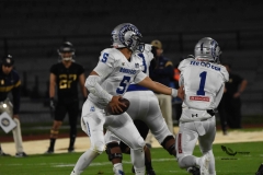 pumas-cu-borregos-ccm-2023-onefa-28