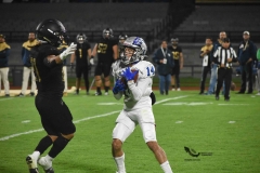 pumas-cu-borregos-ccm-2023-onefa-48