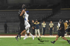 pumas-cu-borregos-ccm-2023-onefa-51