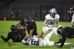 pumas-cu-borregos-ccm-2023-onefa-55