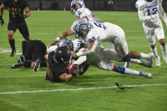 pumas-cu-borregos-ccm-2023-onefa-59