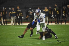 pumas-cu-borregos-ccm-2023-onefa-70