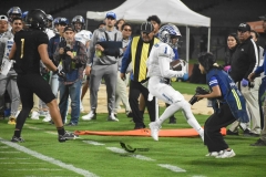 pumas-cu-borregos-ccm-2023-onefa-72