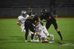 pumas-cu-borregos-ccm-2023-onefa-91