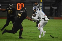 pumas-cu-borregos-ccm-2023-onefa-94