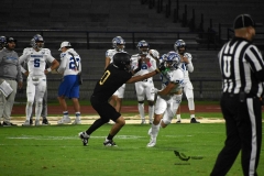 pumas-cu-borregos-ccm-2023-onefa-95