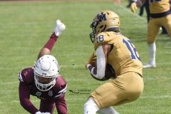 pumas-cu-burros-blancos-onefa-2024-10