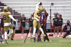 pumas-cu-burros-blancos-onefa-2024-102