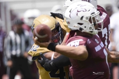 pumas-cu-burros-blancos-onefa-2024-103