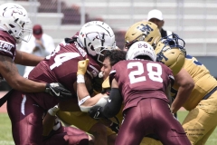 pumas-cu-burros-blancos-onefa-2024-105