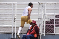 pumas-cu-burros-blancos-onefa-2024-107