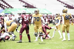 pumas-cu-burros-blancos-onefa-2024-109