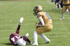 pumas-cu-burros-blancos-onefa-2024-11