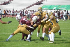 pumas-cu-burros-blancos-onefa-2024-117