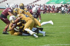 pumas-cu-burros-blancos-onefa-2024-118