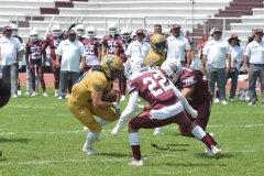 pumas-cu-burros-blancos-onefa-2024-120