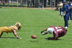 pumas-cu-burros-blancos-onefa-2024-122