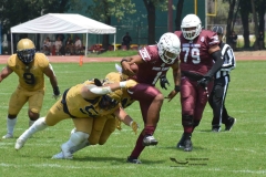 pumas-cu-burros-blancos-onefa-2024-123