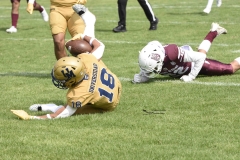 pumas-cu-burros-blancos-onefa-2024-14