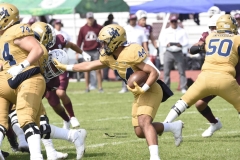 pumas-cu-burros-blancos-onefa-2024-27