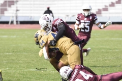 pumas-cu-burros-blancos-onefa-2024-28