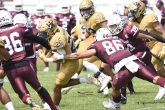 pumas-cu-burros-blancos-onefa-2024-30