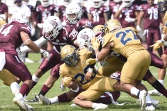 pumas-cu-burros-blancos-onefa-2024-32