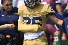 pumas-cu-burros-blancos-onefa-2024-34