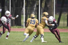 pumas-cu-burros-blancos-onefa-2024-39
